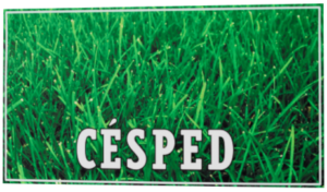 cesped