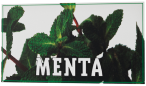 menta